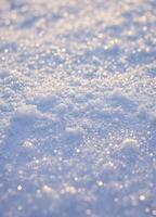 a close up of snow covered ground with some snowflakes. Sparkling Winter Snow photo
