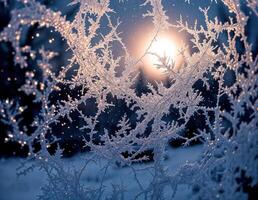 frosted glass with the moon shining through it. Frozen Window Pane photo