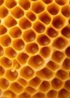 closeup of a honeycomb with the honeycomb cells photo