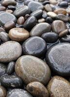 a close up of a bunch of rocks on the ground. Wet Smooth Stones photo