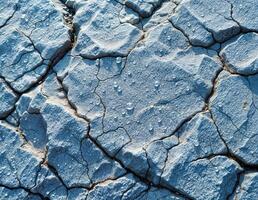 a close up of a cracked surface with water droplets. Cracked Earth with Water Droplets photo