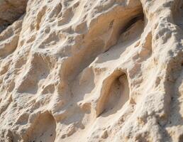 a close up of a rock wall with holes. Eroded Sandstone Cliff Face photo