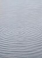 Water ripples and ripples in the lake. Abstract background. Water Ripples photo
