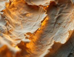 Close-up of a crumpled sheet of paper. Macro. Ancient Paper Texture photo