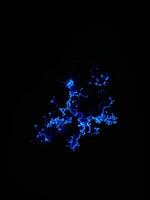 Blue lightning on a black background. 3d rendering, 3d illustration. Blue Bioluminescence photo