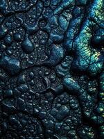 Macro close up of alien skins on leather texture for background. Iridescent Dark Texture photo