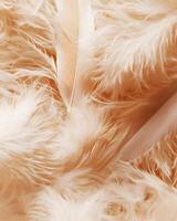 A close-up of soft, fluffy fabric with delicate ribbons, suggesting a luxurious texture. photo
