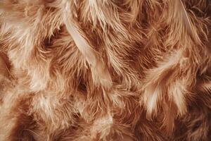 A close-up of soft, fluffy fabric with a warm, beige hue. photo