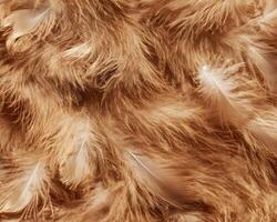 A close-up of soft, fluffy feathers in warm tones, creating a cozy texture. photo