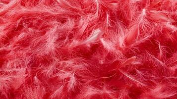 A close-up of soft, fluffy pink fibers creating a vibrant texture. photo
