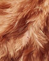 A close-up of soft, fluffy feathers in warm tones, highlighting texture and color. photo