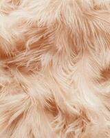 A close-up of soft, fluffy peach-colored feathers, showcasing texture and warmth. photo
