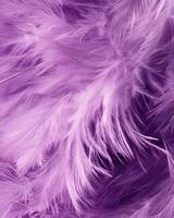 A close-up of soft, fluffy purple feathers creating a textured background. photo