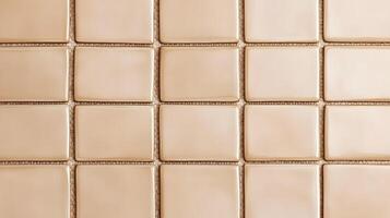 Light Beige Rectangular Tile Grid photo