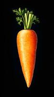 Digital Painting of a Single Carrot photo