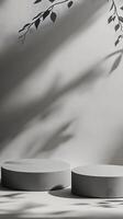 Minimalist Display with Shadows and Circular Forms in an Elegant Setting photo