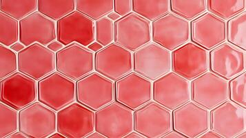 Hexagonal Coral Red Tile Pattern photo