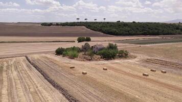 zumbido terminado heno rollos en granja campos en otoño nublado día video
