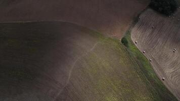 Shadows of clouds on the hay rolls in farm fields in autumn cloudy day video