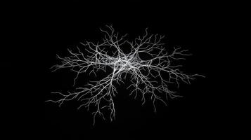 A black and white photograph of a tree photo