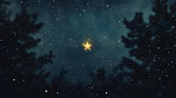 A star shining in the night sky with trees in the background photo