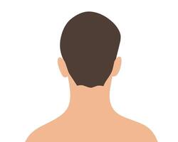illustration of the back view of a man's head and shoulders. Simple and minimalistic design, suitable for medical, educational, or anatomical content. vector