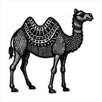 Camel Design Illustrations vector