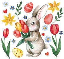 easter set with cute bunny with tulips and easter eggs. watercolor image vector