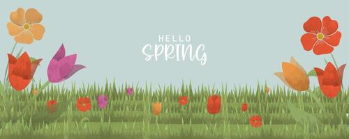 spring or mothers day poster banner background with flowers and grass vector