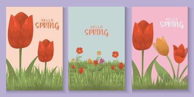 set of spring card or banners with tulips and grass,beautiful poster for spring events mother day and easter day. vector