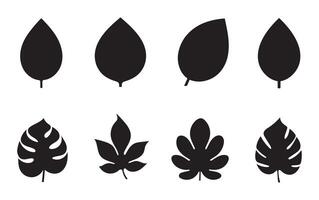 Leaf icon set. Leaves icon. Leaves of trees and plants. Leaf sign and symbol vector
