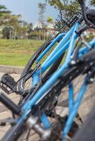 Blue Bicycles Parked on Paved Path photo