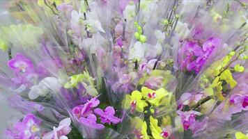 Numerous bouquets of multicolored orchids in transparent wrapping, creating a fresh atmosphere. video