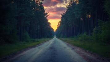 A road with trees on either side and a sunset in the background photo