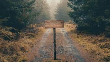 A sign is standing in the middle of a forest road photo