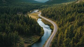 A road runs through a forest with a river running alongside it photo