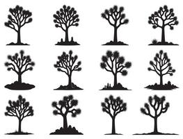 JOSHUA TREE SILHOUETTE WHITE BACKGROUND vector