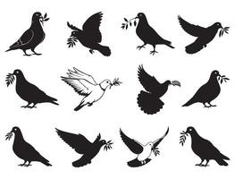 PIGEON WITH BRANCH SILHOUETTE WHITE BACKGROUND vector