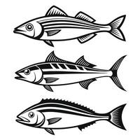 Minimalist Fish Silhouettes Swordfish, Grouper, Snapper, and Haddock vector