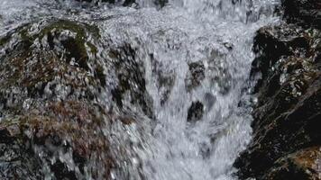 Close up fresh water flowing through the rocks over the cascade in the forest. Freshness and cleanliness of waterfall in the nature. Water conservation concept. video
