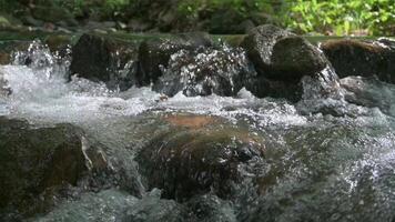 Flowing clear water from natural creek through the rocks under sunlight in the tropical rainforest. Freshness water stream under the shade of the trees. video