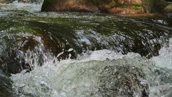 Closeup wild river flowing through rocks in the forest, Clear water stream rapid flows in tropical rainforest, Slow motion. video