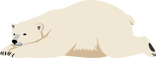 Polar bear lounging on the ice in a minimal and playful style illustration vector