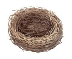 Empty bird nest from twig in a vintage Easter theme. Realistic hand drawn watercolor illustration with texture. Perfect for card design. Ideal for festive decor and nature themed holiday artwork. vector