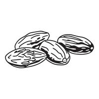 Luscious dates Fruits vector
