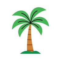 palm tree on white background vector