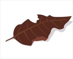 Dry Leaf, A Symbol of Nature Transition, Embracing the Beauty of Change and the Passage of Time in the Autumn Breeze vector