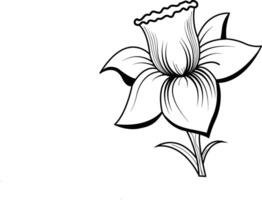 Tropical Flower Illustrations vector