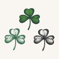 Clovers lief for Saint Patrick's Day. Hand drawn set with sketched engraved Shamrock green plants. Design for St. Patrick Irish festival for flyer, card, paper, textile, wrapping, sign, logo vector