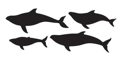 Black Silhouette Illustrations of Dolphins vector